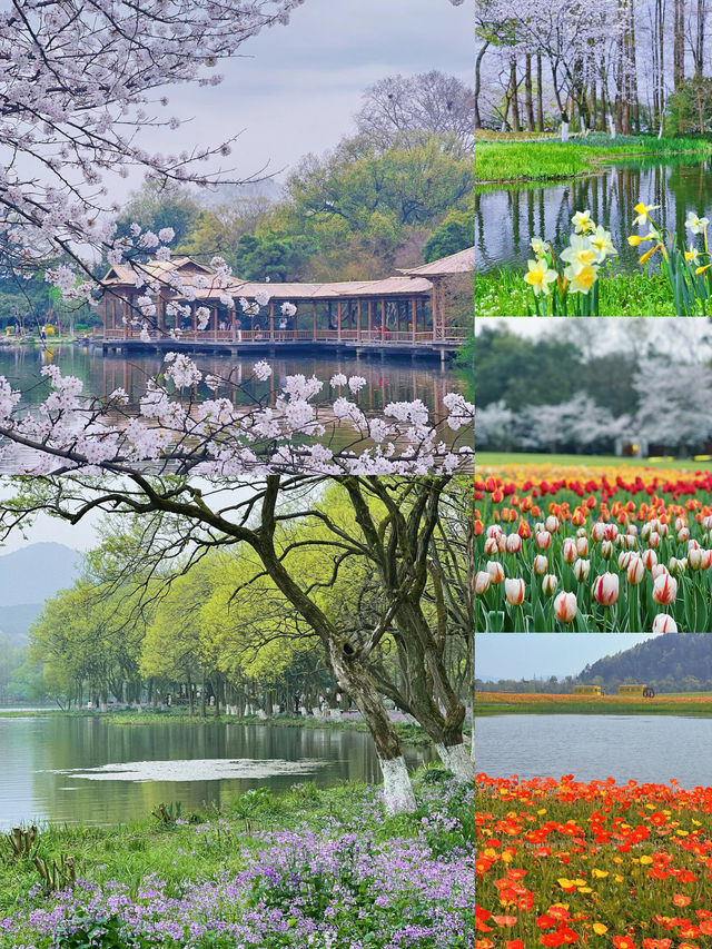 原本以為杭州的西湖夠美了，直到我去了這裡……