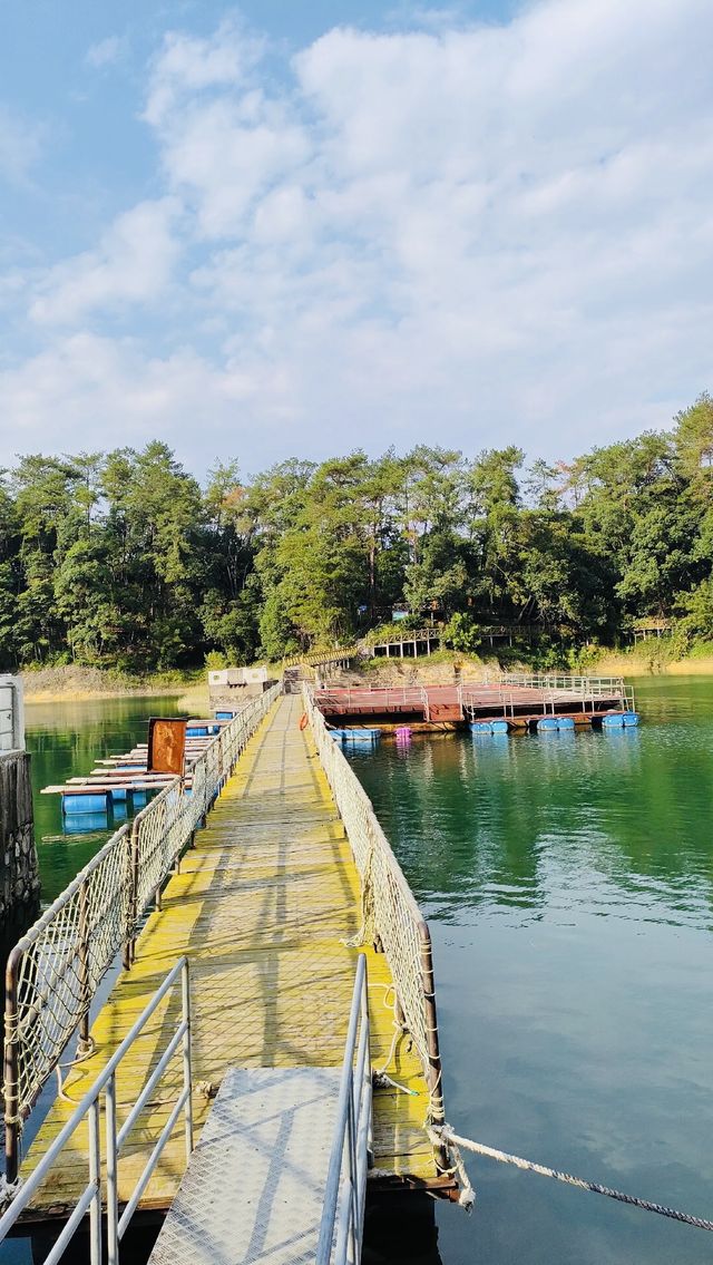 從化遊玩|流溪河國家森林公園