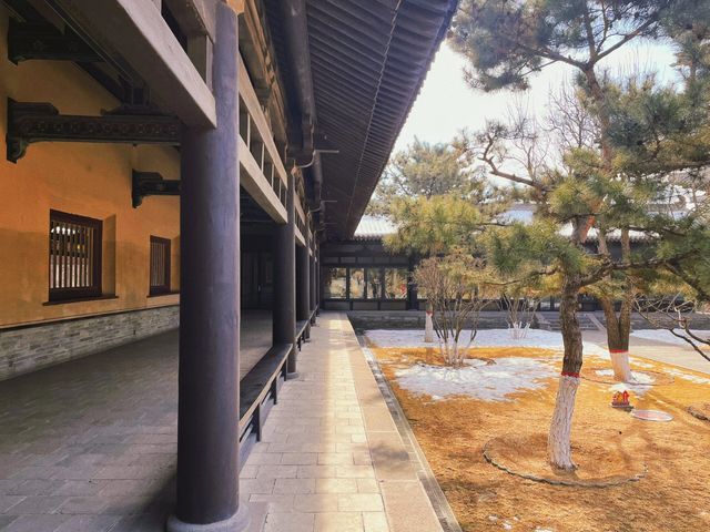 早知道大同華嚴寺，就不去京都奈良了