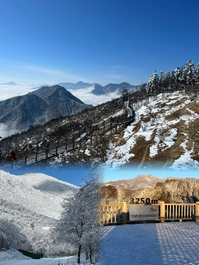 不是挪威去不起，而是西岭雪山更有性價比