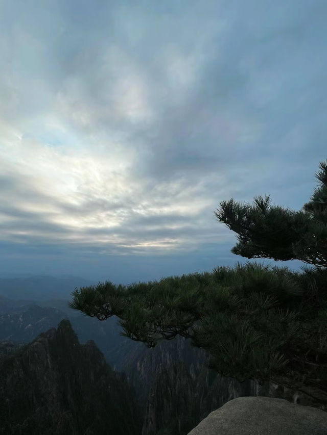 已識黃山真面目，主山猶放白雲遮