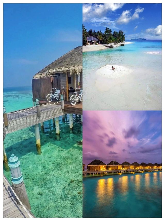 馬爾代夫的海這麼美嗎？替你們體驗過了真的那麼美