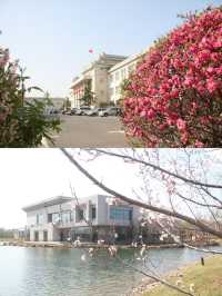 長春酒店推薦南湖賓館國賓館這次東北旅行中最推薦的酒店就是南湖