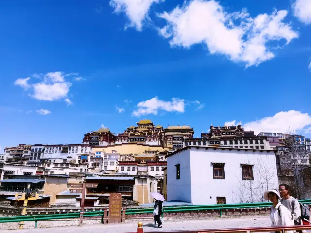 The Songzanlin Monastery in Shangri-La || You're really having a blast!
