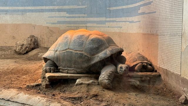 北京動物園|五一遛娃好去處