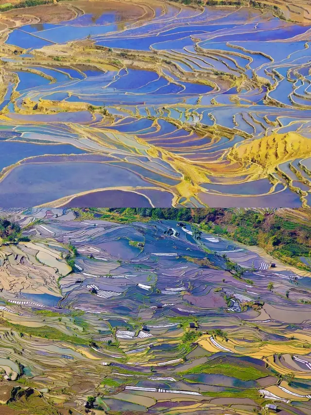 The best time to visit the Yuanyang Rice Terraces has arrived