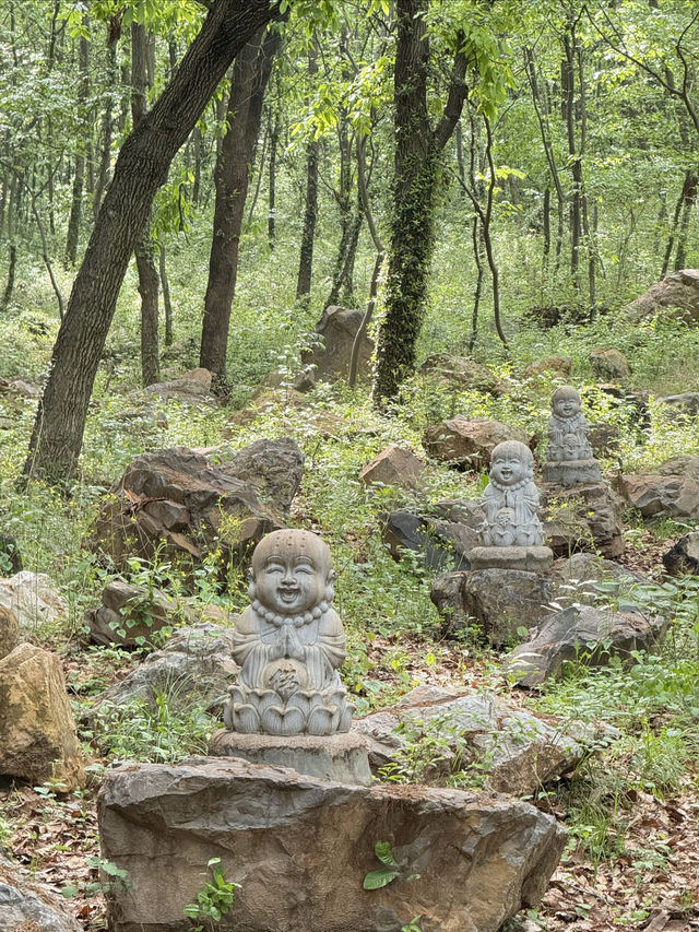 打卡南京金牛湖風景區！