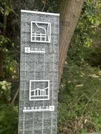 打卡南山另一條小眾步道 — 清水溪步道