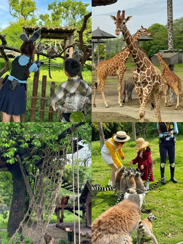 野生動物園