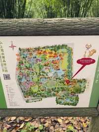 上海共青森林公園？！！