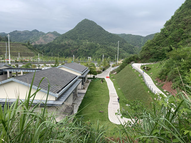 溧寧高速千島湖服務區——星空露營特色