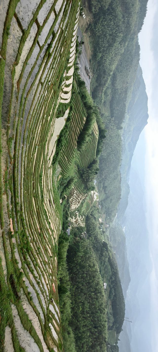 【江西美景】在上堡梯田感受最美田園