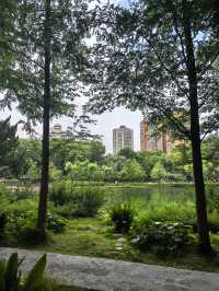 城市公園圖鑑|和平公園