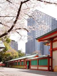 🌟 Tokyo's Opulent Oasis: The Capitol Hotel Tokyu 🌟