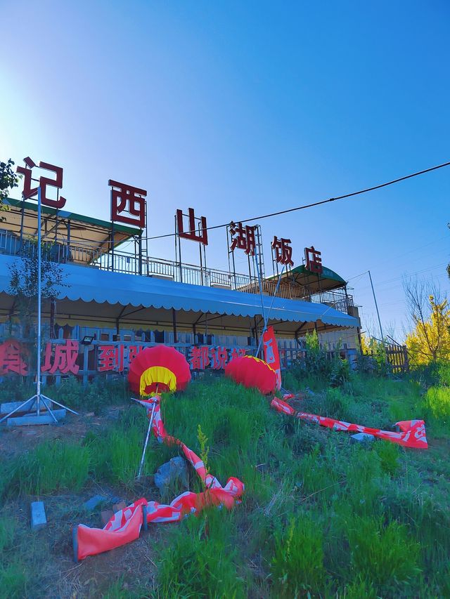 天啊，這地方真的很適合露營野餐！