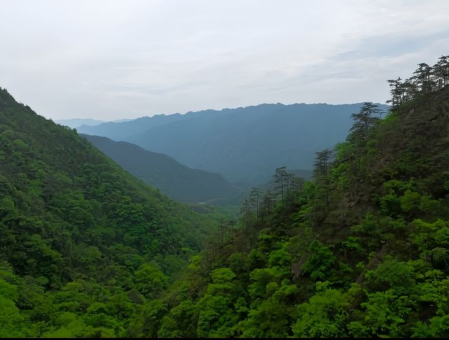 避暑好地方-江西宜春靖安縣