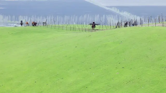 My Altay (Yushkaptal village)