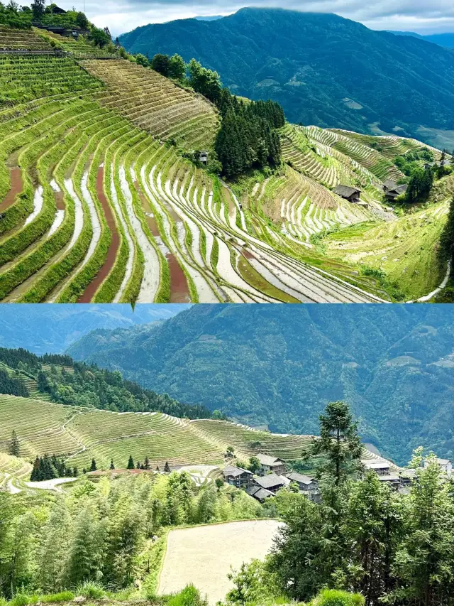 Guilin City Day 2 Tour of Longji Rice Terraces and Expenses