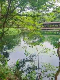 九曲橋美景，東湖落雁島的攝影天堂