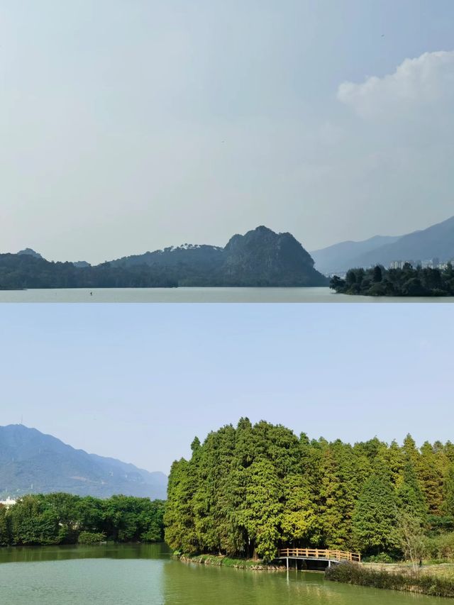 肇慶|濕地公園