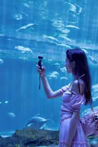 打卡海底世界｜ 探索海洋的的神秘