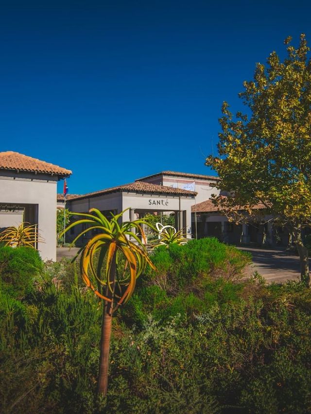 🍇🏨 Cape Winelands' Cozy Retreat Haven 🌿✨