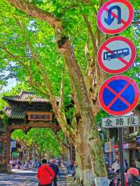 杭州旅遊拍照一天全免費的景點路線攻略