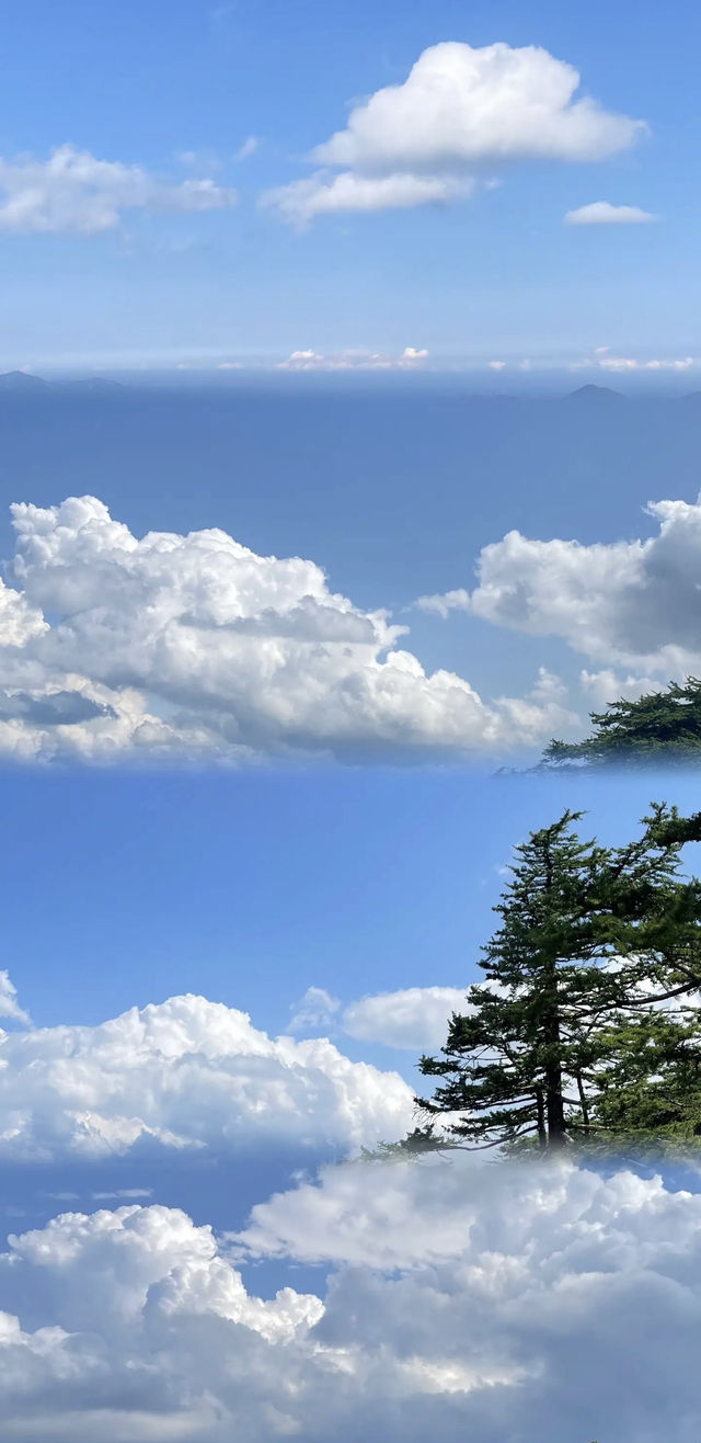 露營佳地“天華山”