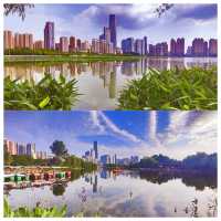 位於市中心城區（二環線內）的“世外桃源”——沙湖公園，賞荷賞景的天花板