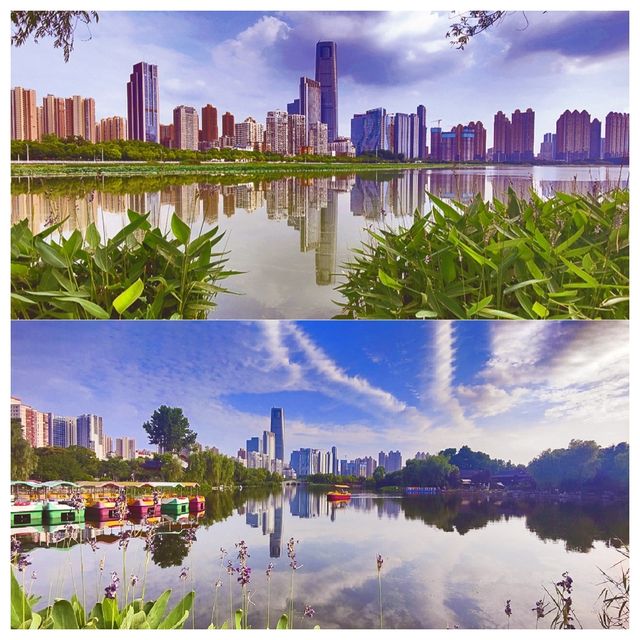 位於市中心城區（二環線內）的“世外桃源”——沙湖公園，賞荷賞景的天花板