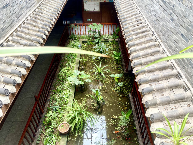 比起麗江古鎮，我更愛帶孩子來這裡