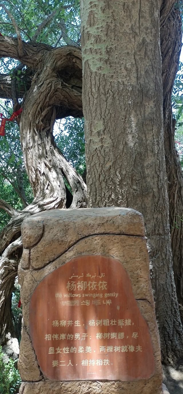 來葉城千萬別錯過的景區葉城宗郎靈泉