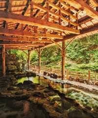 作並溫泉--鷹泉閣 岩松旅館