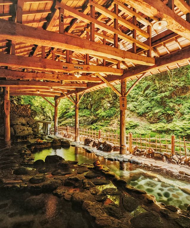 作並溫泉--鷹泉閣 岩松旅館