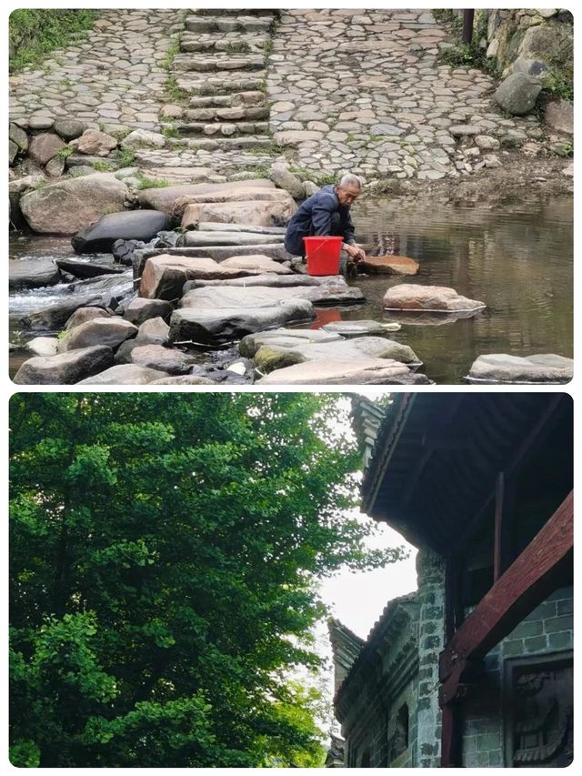 周末游玩免費的才香！景美人少|西河古村落