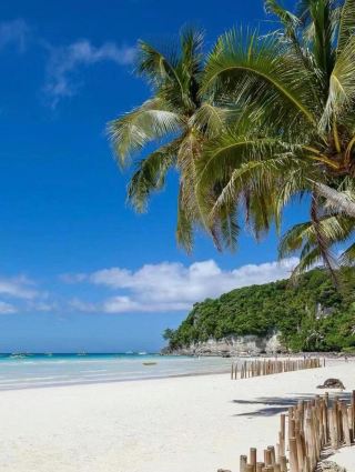 Oh My! This Might Just Be the Ceiling of Island Paradise - So Beautiful It's Speechless