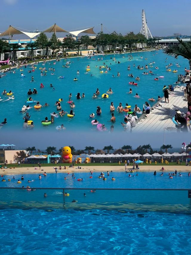 六月必去遊玩的地方——秦皇島樂島海洋王國
