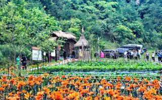 Summer Resort · Sichuan · Guangyuan · Zengjia Mountain