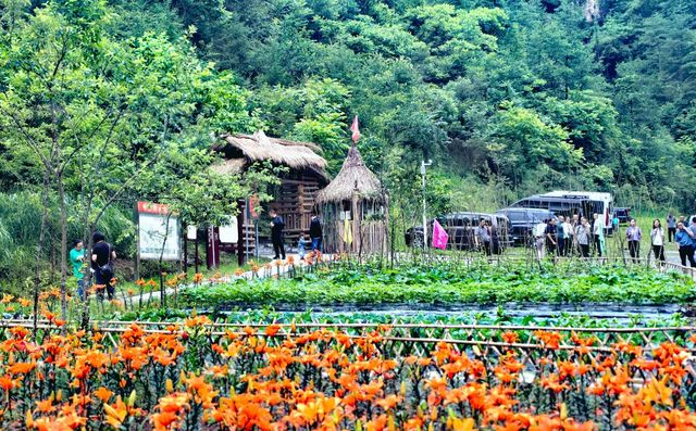 避暑聖地·四川·廣元·曾家山