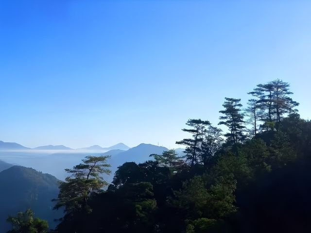 天然氧吧，避暑納涼：福安棕樹山