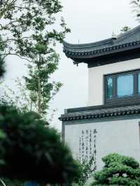 家人們誰懂啊 不出成都也能住進蘇式園林