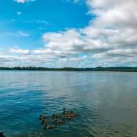 Beautiful Lake Temagami in Canada 🇨🇦