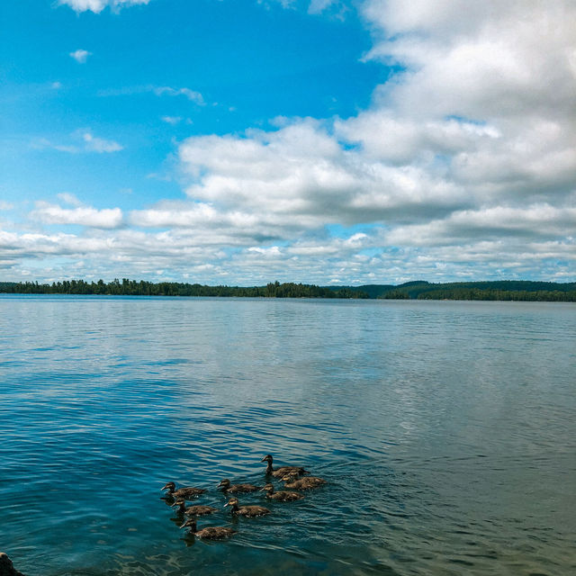 Beautiful Lake Temagami in Canada 🇨🇦