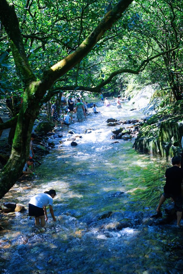 廣州周邊-夏日避暑親水勝地