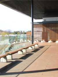 🚂🎢 Kyoto's Family-Friendly Fun: Museums, Aquariums & Parks! 🐬🌳