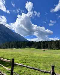 雲杉坪打卡隱藏在玉龍雪山的巨大草坪