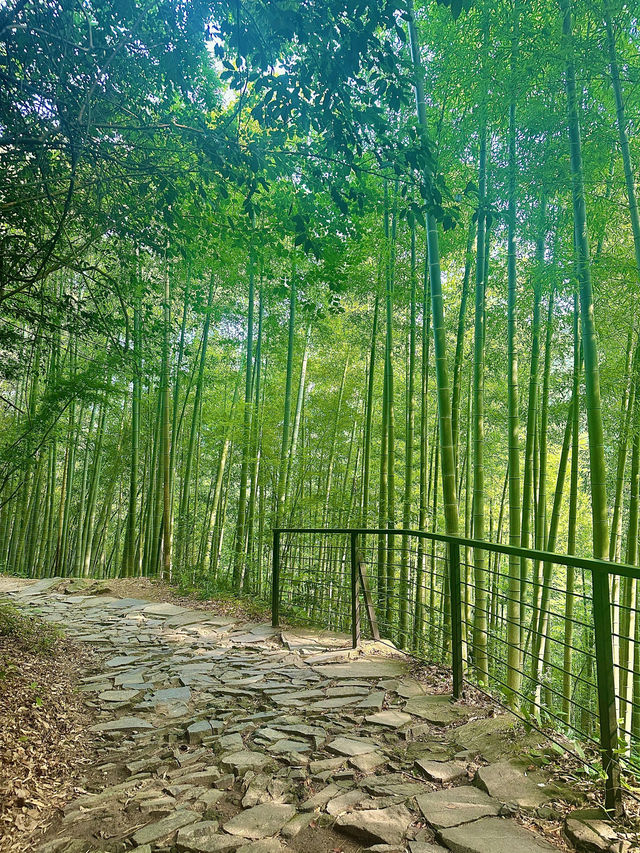 救命到底是谁说莫干山能避暑的