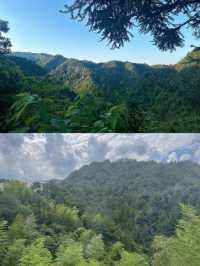 睡進面朝峽谷的懸崖Villa |金華·梧鳴谷