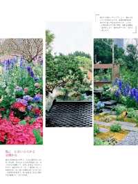 「深圳筆架山粵港澳大灣區花展」：花海盛宴，不容錯過