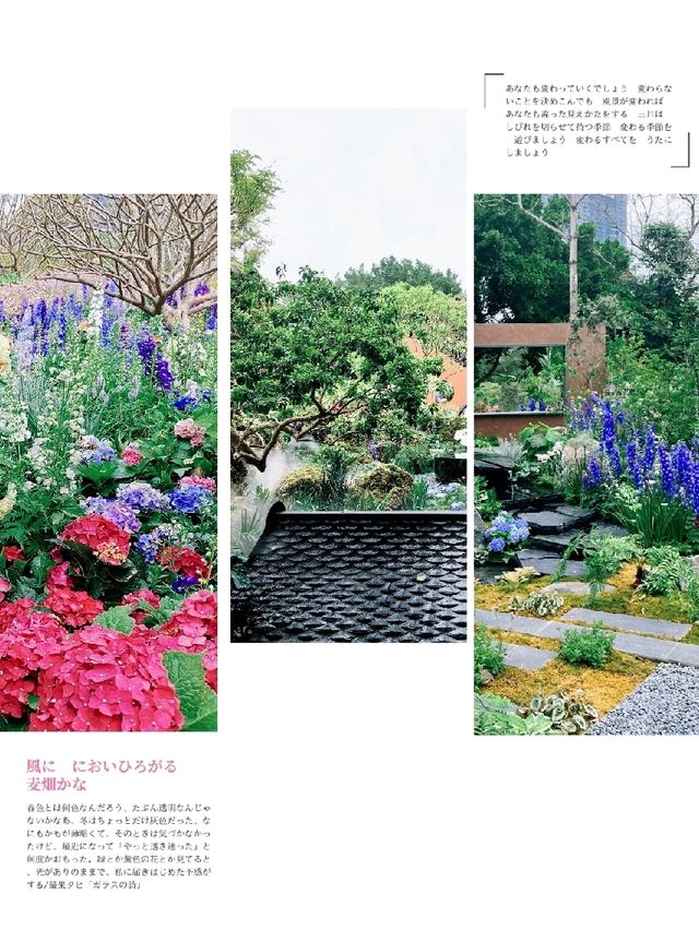 「深圳筆架山粵港澳大灣區花展」：花海盛宴，不容錯過